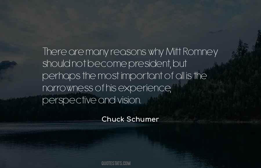 Chuck Schumer Quotes #168058