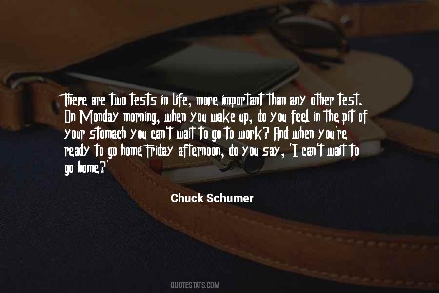 Chuck Schumer Quotes #1761806