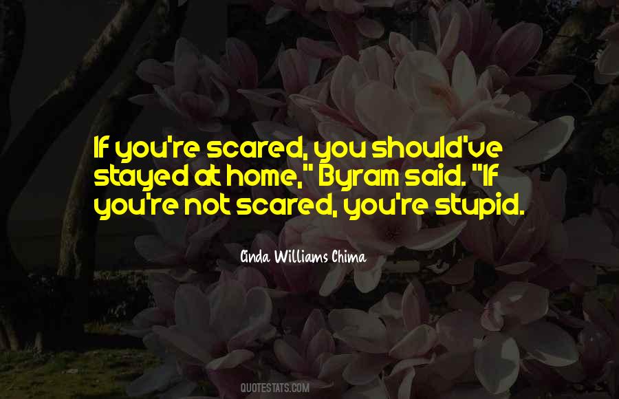 Cinda Williams Chima Quotes #1119624