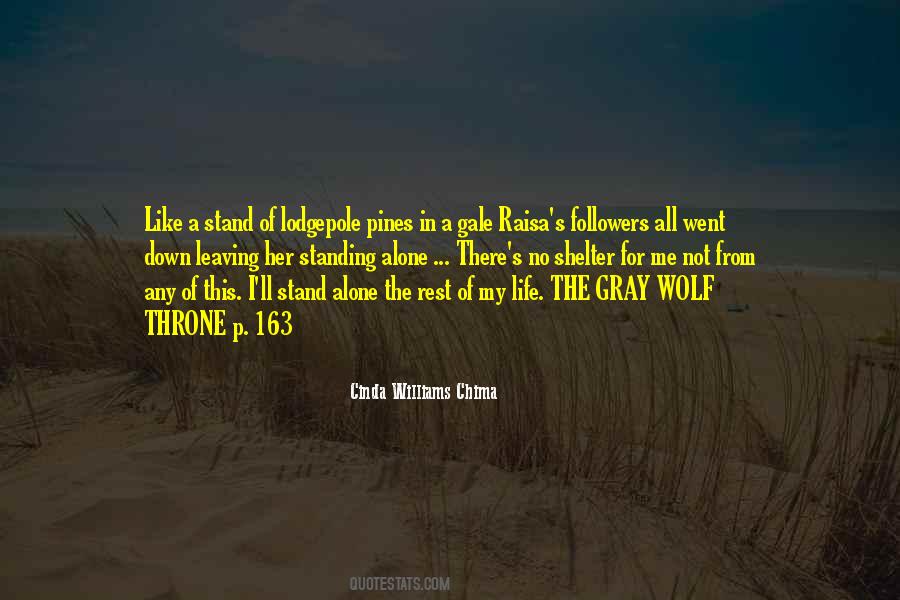 Cinda Williams Chima Quotes #1476900