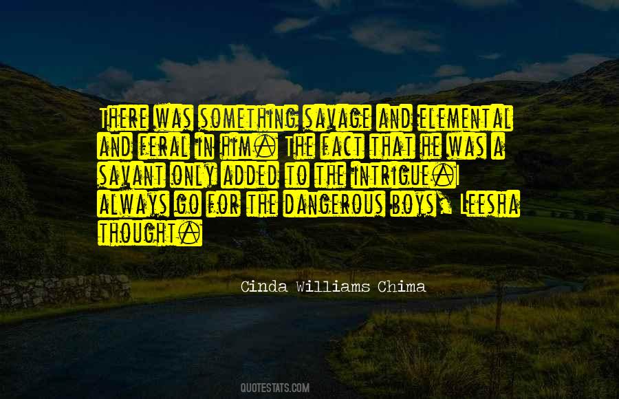 Cinda Williams Chima Quotes #453772