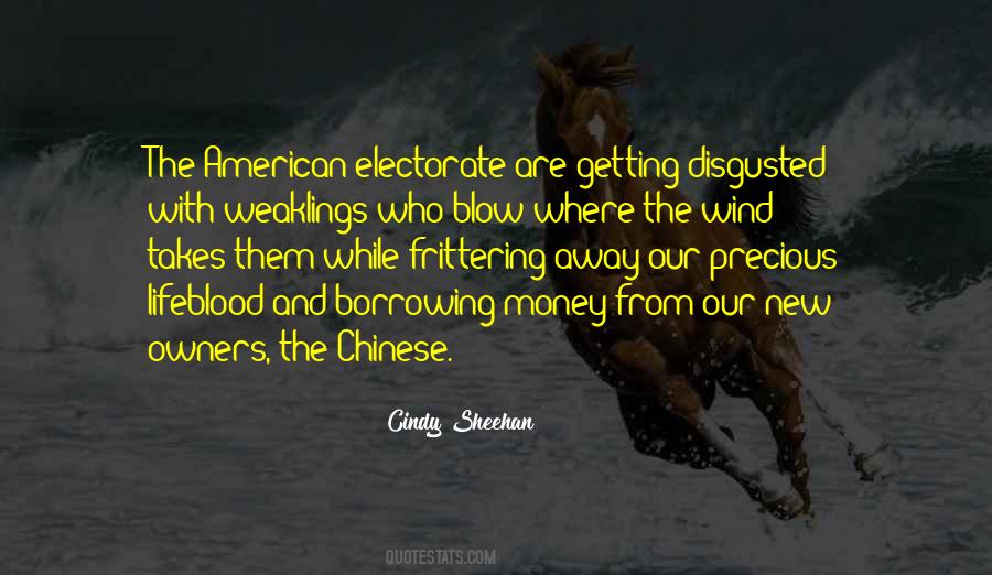 Cindy Sheehan Quotes #1000915
