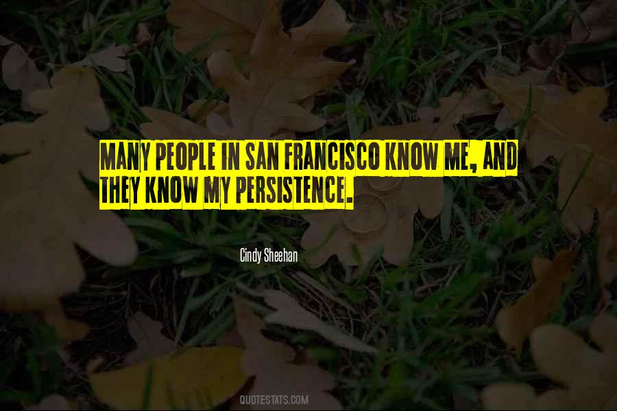 Cindy Sheehan Quotes #545579