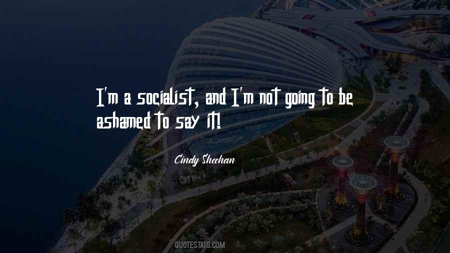 Cindy Sheehan Quotes #780218