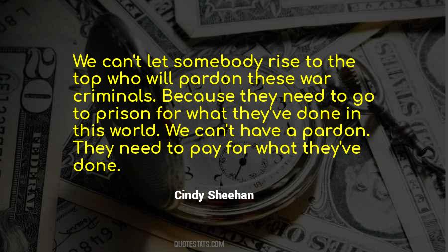 Cindy Sheehan Quotes #880623