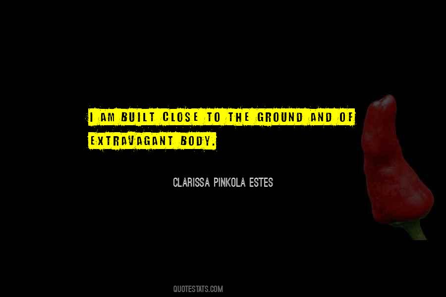 Clarissa Pinkola Estes Quotes #743036