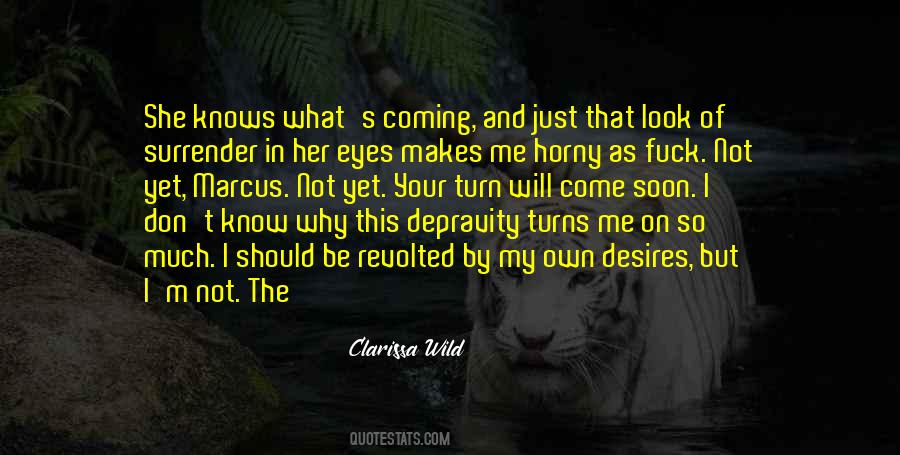 Clarissa Wild Quotes #382984