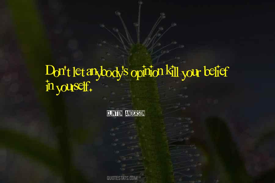 Clinton Anderson Quotes #937739