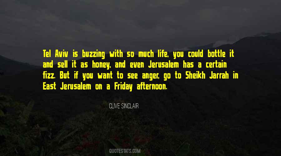 Clive Sinclair Quotes #1590611