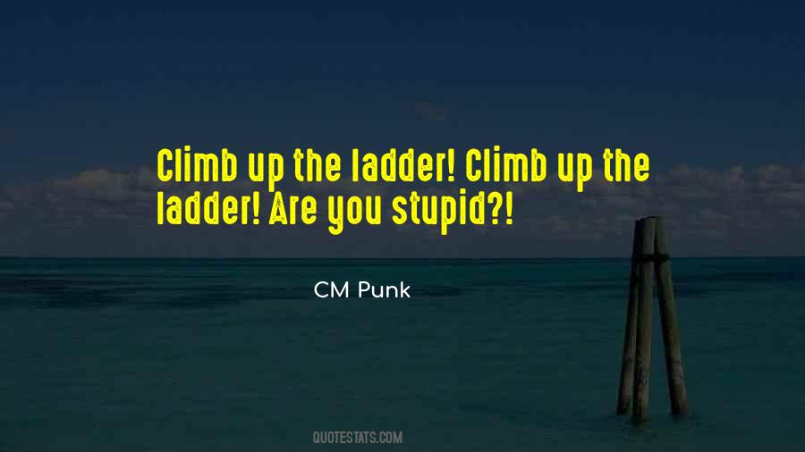 CM Punk Quotes #277393