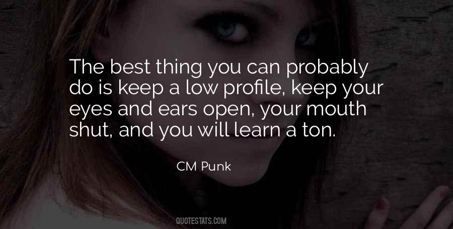 CM Punk Quotes #437828