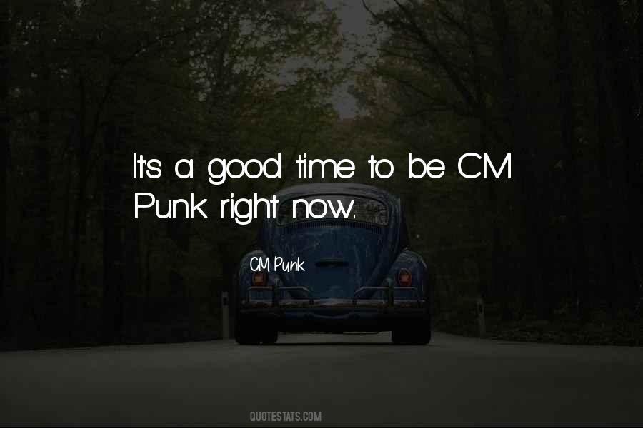 CM Punk Quotes #575580