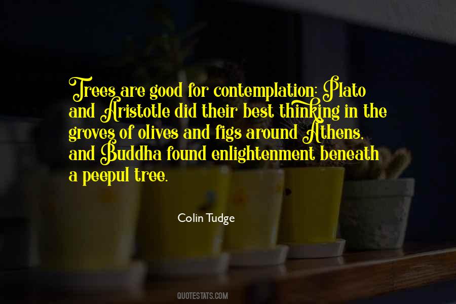 Colin Tudge Quotes #910039