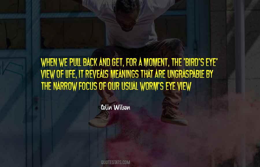 Colin Wilson Quotes #968001