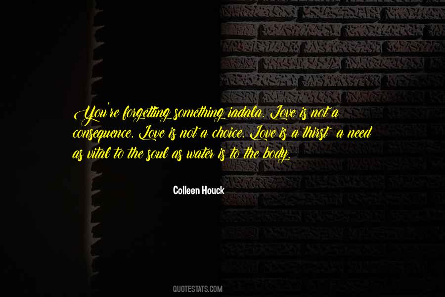 Colleen Houck Quotes #82606