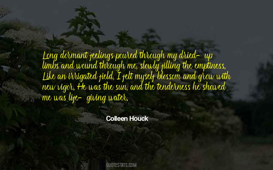 Colleen Houck Quotes #870754
