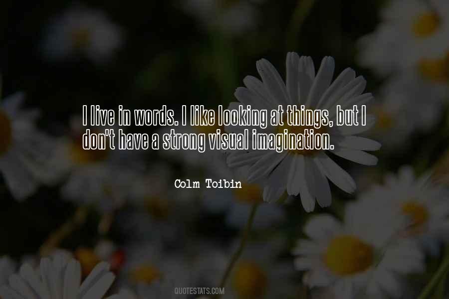 Colm Toibin Quotes #16421