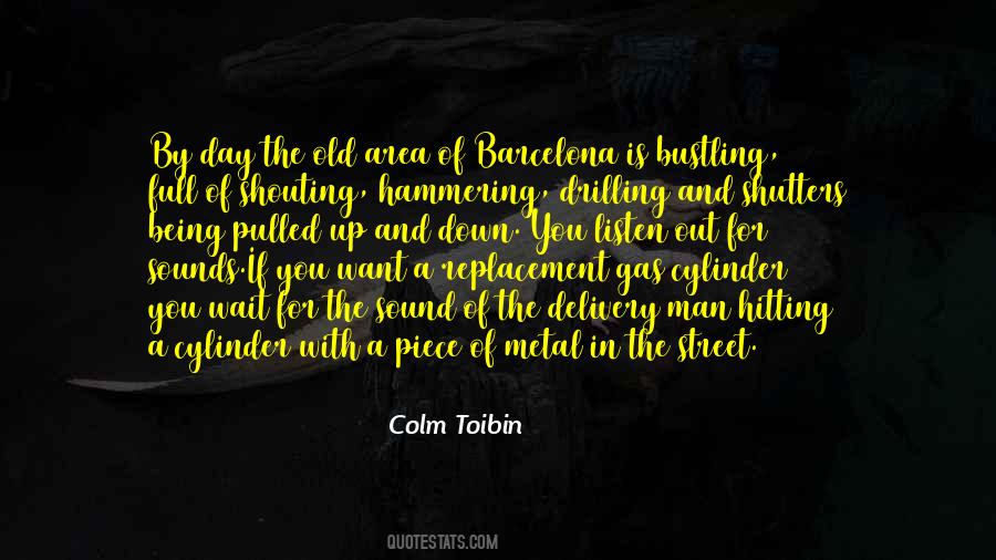 Colm Toibin Quotes #1876080