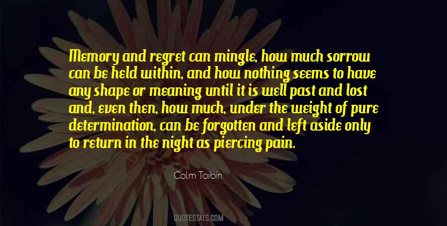 Colm Toibin Quotes #210848