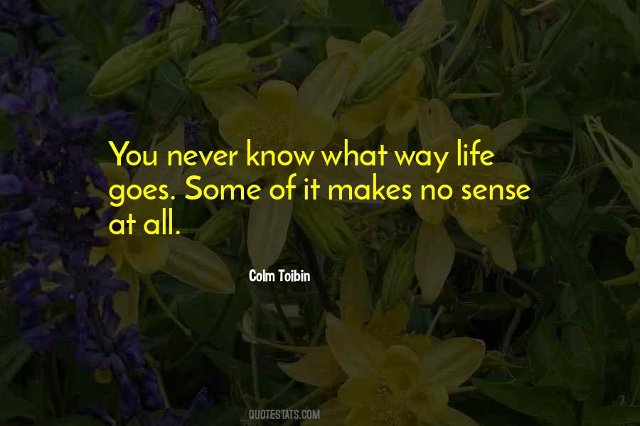 Colm Toibin Quotes #356042