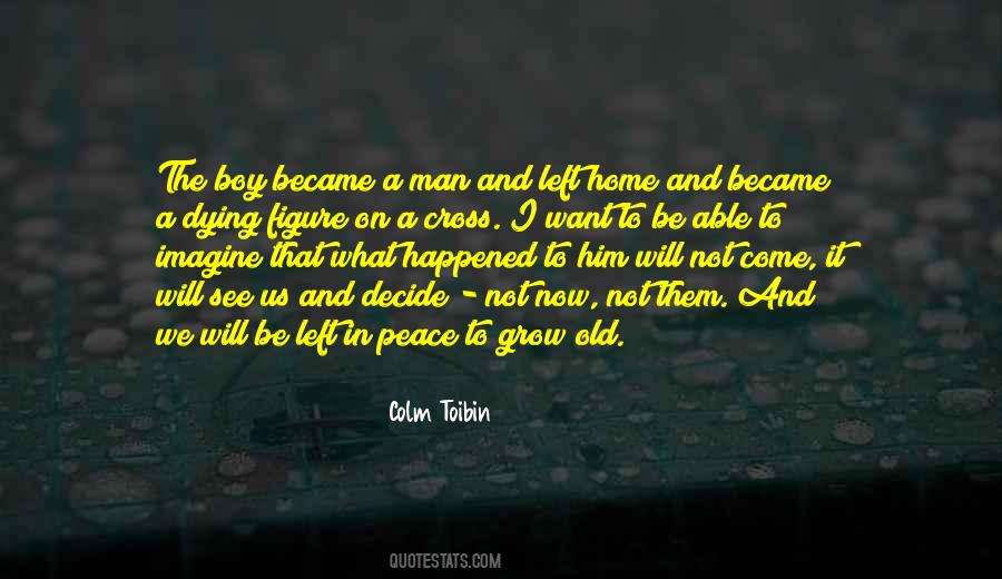 Colm Toibin Quotes #396218