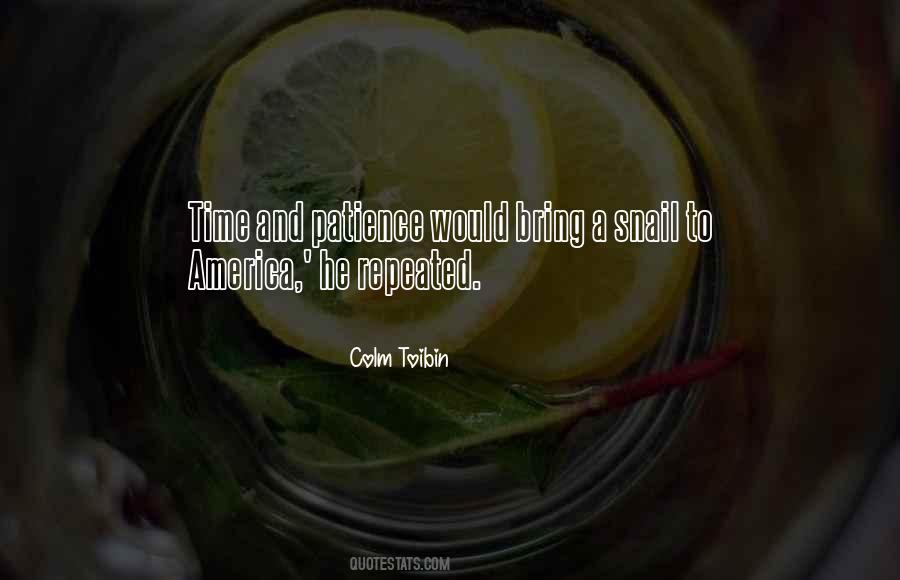 Colm Toibin Quotes #56049