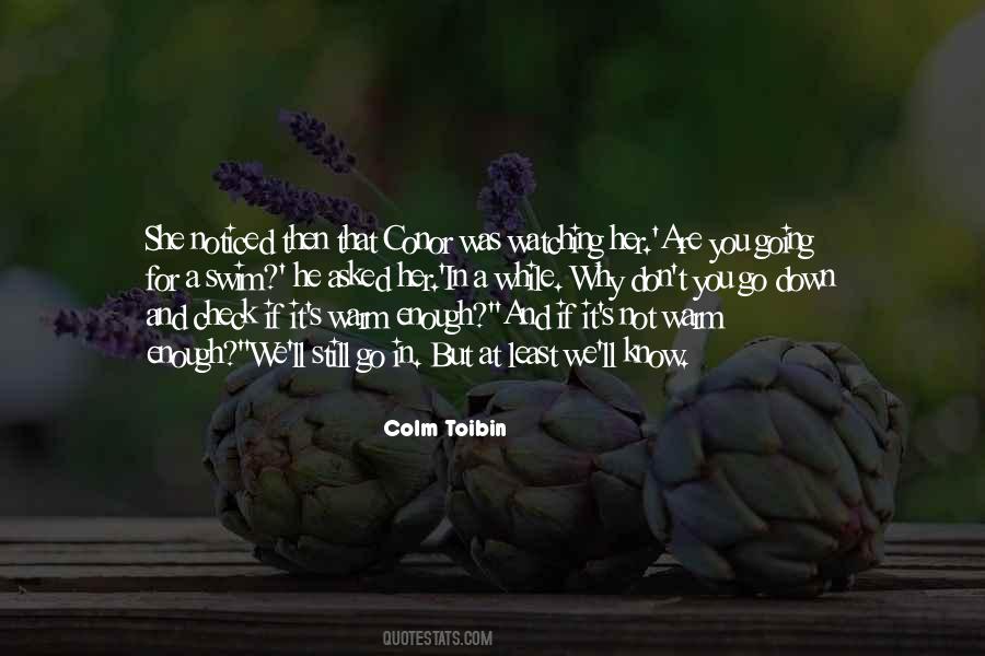 Colm Toibin Quotes #570451