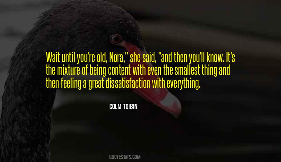 Colm Toibin Quotes #598218