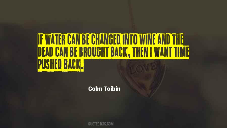 Colm Toibin Quotes #706812