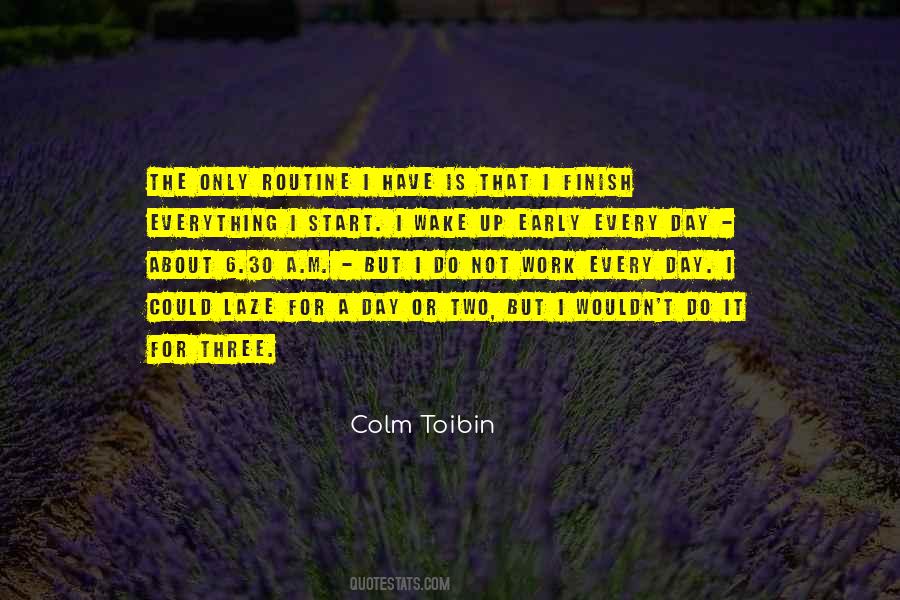 Colm Toibin Quotes #789358
