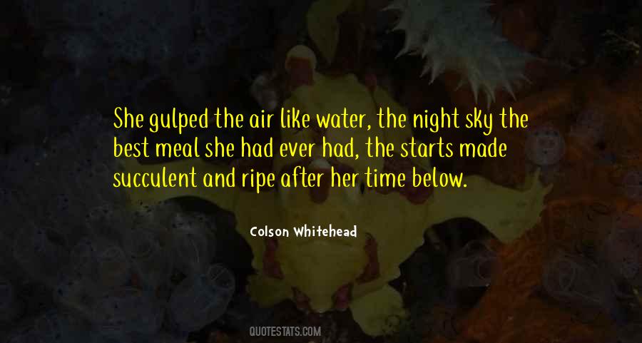 Colson Whitehead Quotes #1524064