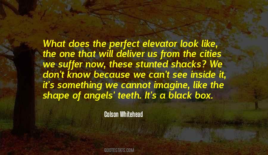 Colson Whitehead Quotes #1558840