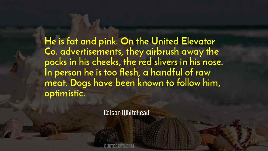 Colson Whitehead Quotes #470212