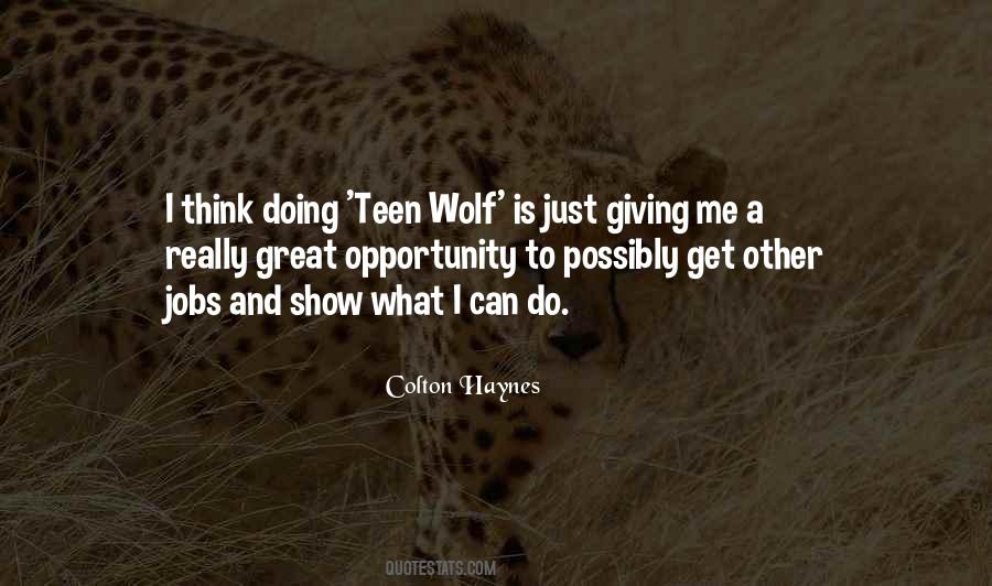 Colton Haynes Quotes #1495101