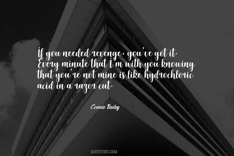 Connie Bailey Quotes #82882