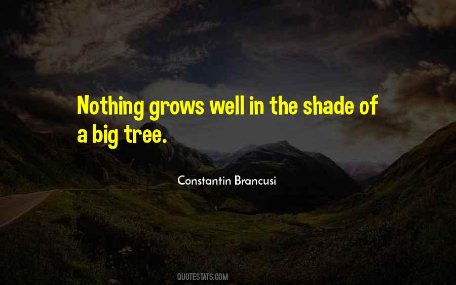 Constantin Brancusi Quotes #1543063