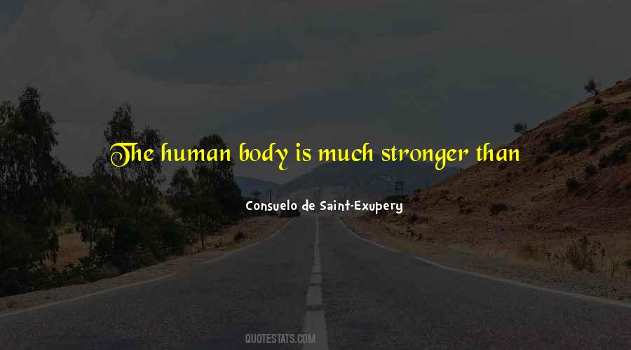 Consuelo De Saint-Exupery Quotes #1024269