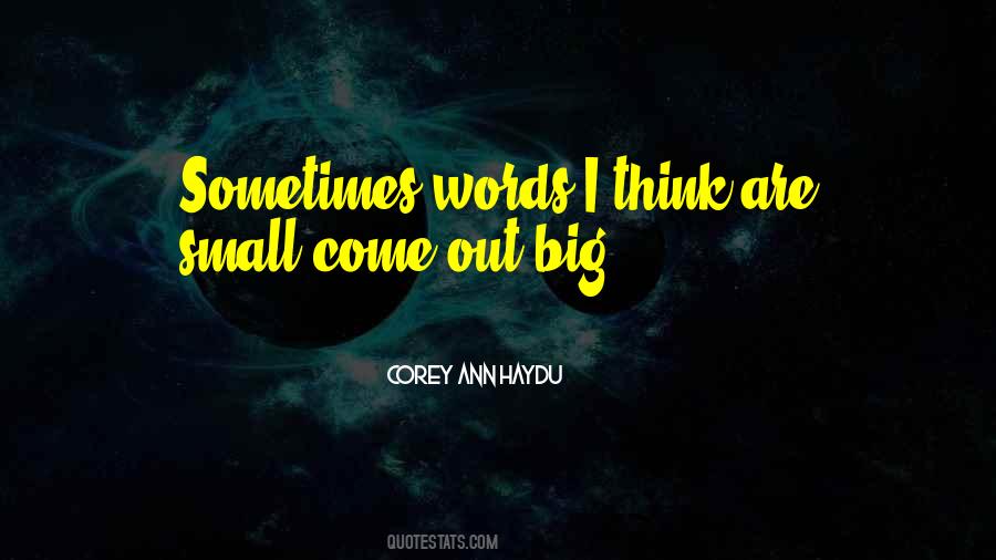 Corey Ann Haydu Quotes #526394