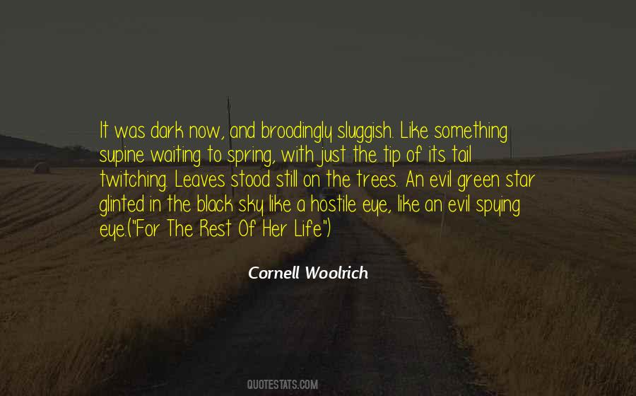 Cornell Woolrich Quotes #205835