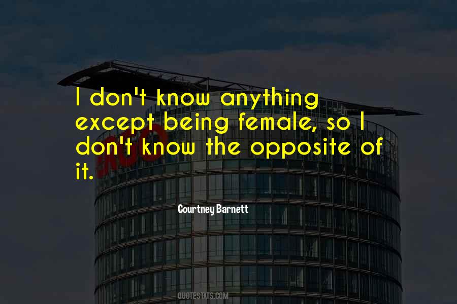 Courtney Barnett Quotes #1728508