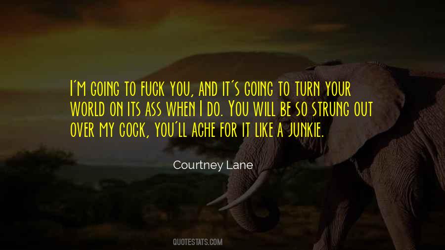 Courtney Lane Quotes #565057