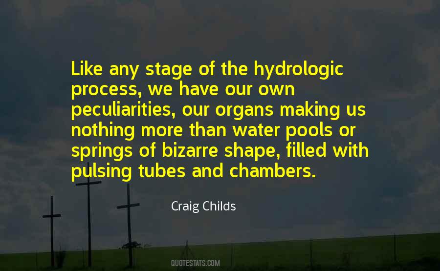 Craig Childs Quotes #1491743