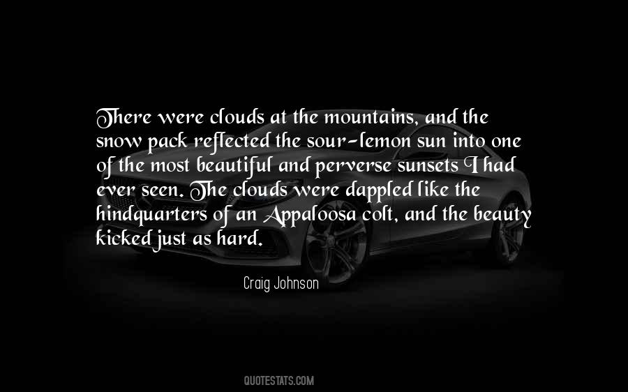 Craig Johnson Quotes #266620