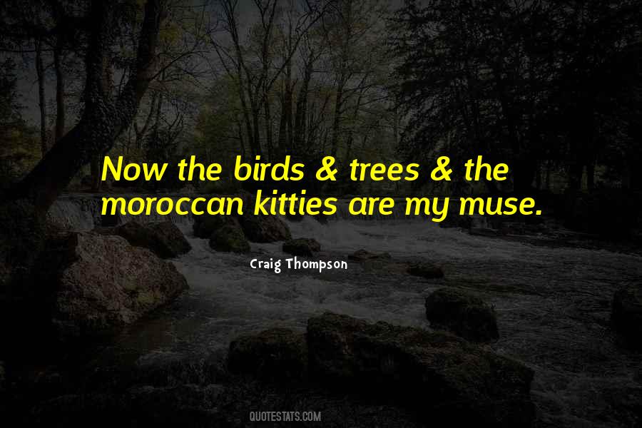 Craig Thompson Quotes #958062