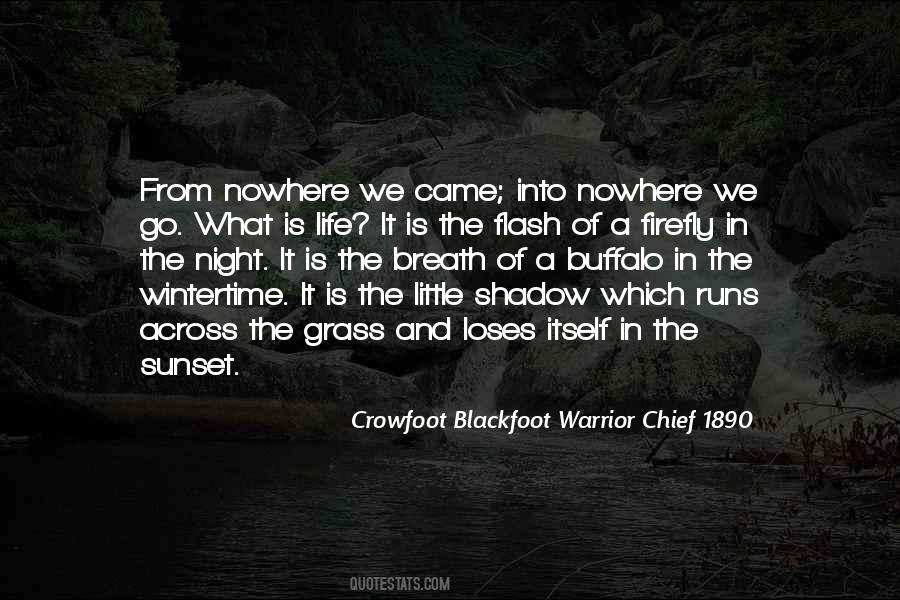 Crowfoot Blackfoot Warrior Chief 1890 Quotes #1483153