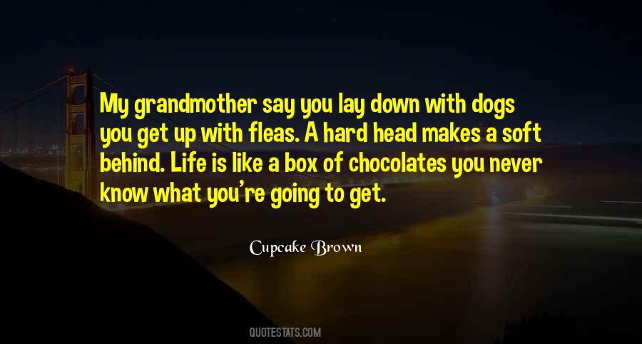 Cupcake Brown Quotes #1592436