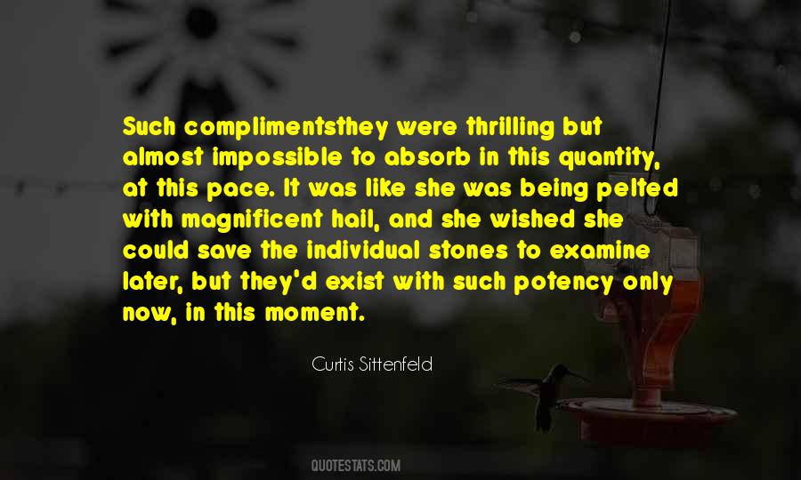 Curtis Sittenfeld Quotes #313443