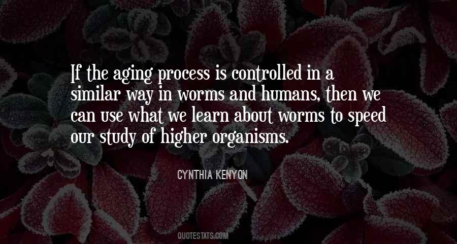 Cynthia Kenyon Quotes #1691535