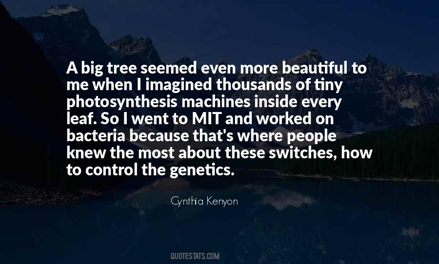 Cynthia Kenyon Quotes #1840869