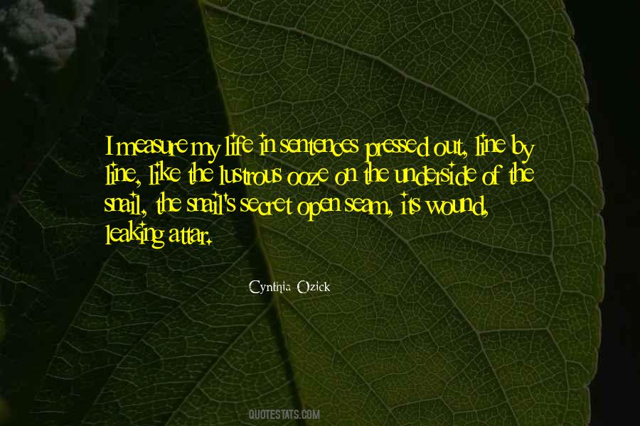 Cynthia Ozick Quotes #1782680